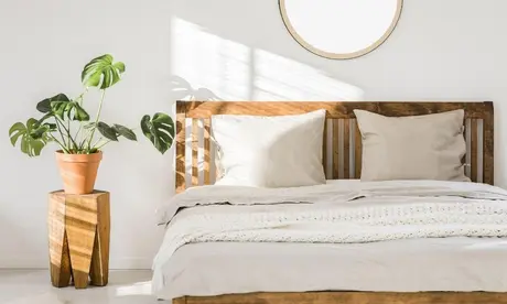 Welke planten zijn ideaal voor uw slaapkamer?